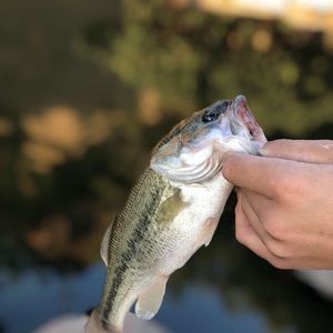 Meet your Posher, Nate